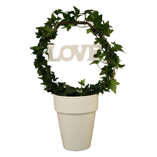 Picture of HEDERA HELIX GREEN HOOP+LOVE IN CERAMIC