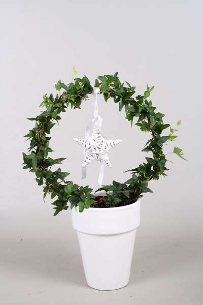 Picture of HEDERA HELIX GREEN HOOP+STAR IN CERAMIC