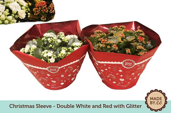 Picture of KALANCHOE DOUBLE RED/WHITE + GLITTER + SLEEVE