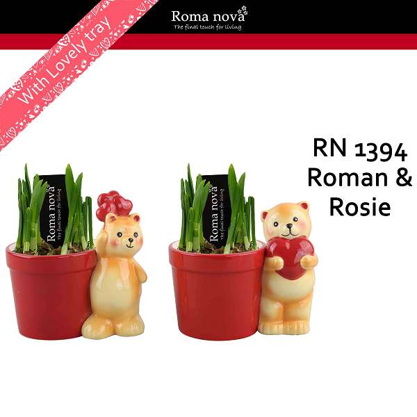 Picture of Narcissus roman and rosie