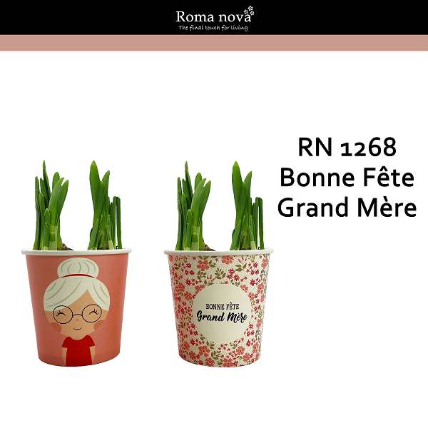 Picture of Narcissus "bonne fete grand mere"