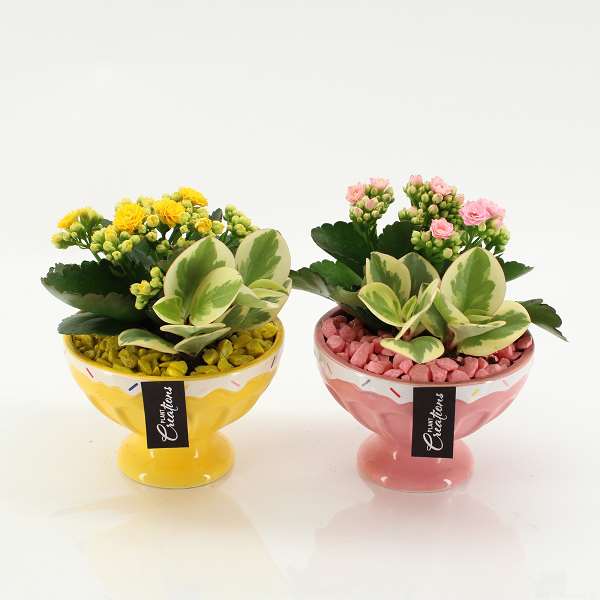 Picture of Summer arrangement 03pp in ceramic