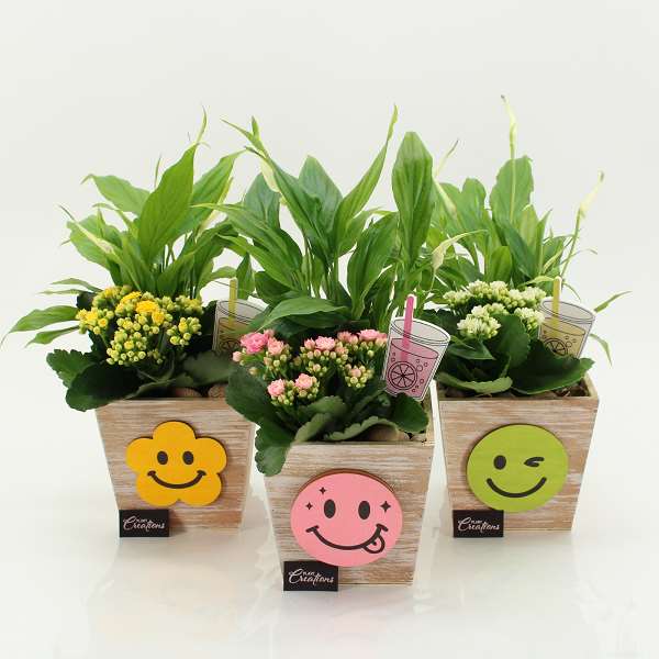 Picture of Summer arrangement 02pp in wood