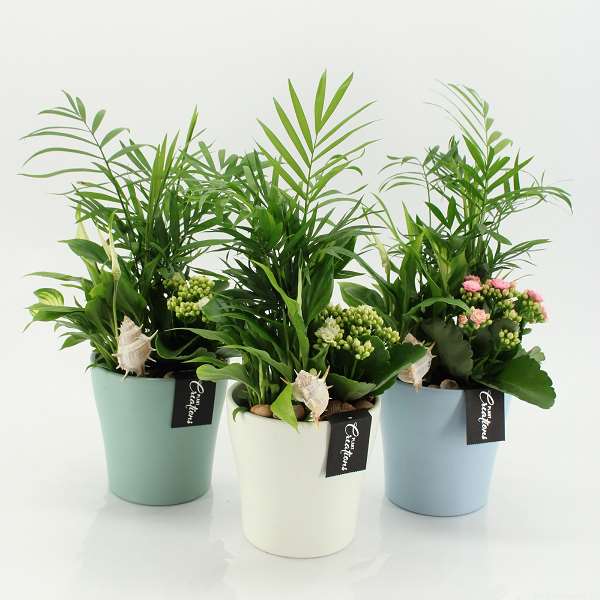 Picture of Summer arrangement 03pp in ceramic