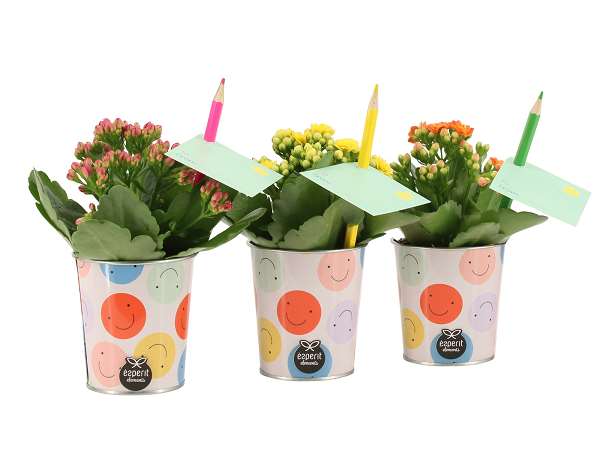 Picture of Love school arrangement in zinc