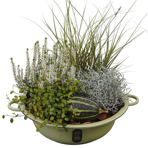 Picture of Autumn arrangement 04pp in zinc - outdoor