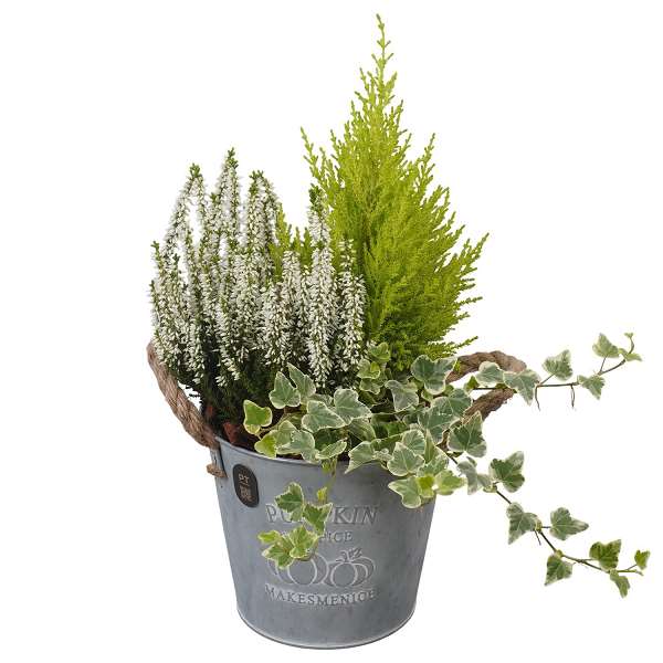 Picture of Autumn arrangement 03pp in zinc - outdoor