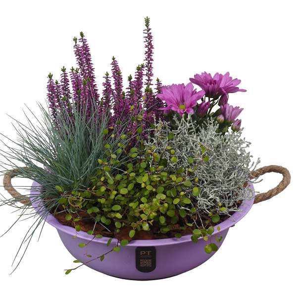 Picture of Autumn arrangement 05pp in zinc - outdoor