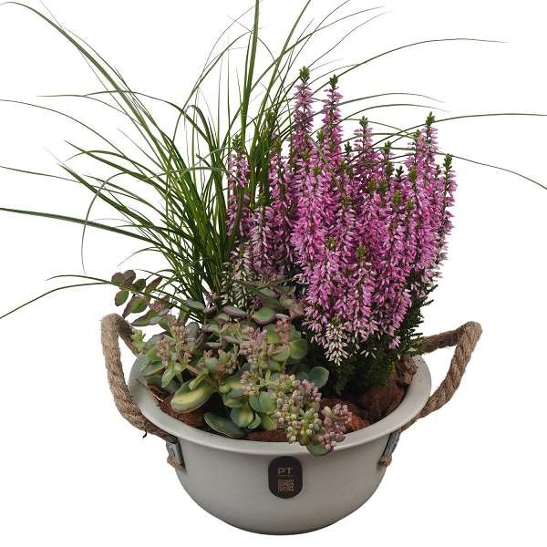 Picture of Autumn arrangement 03pp in zinc - outdoor