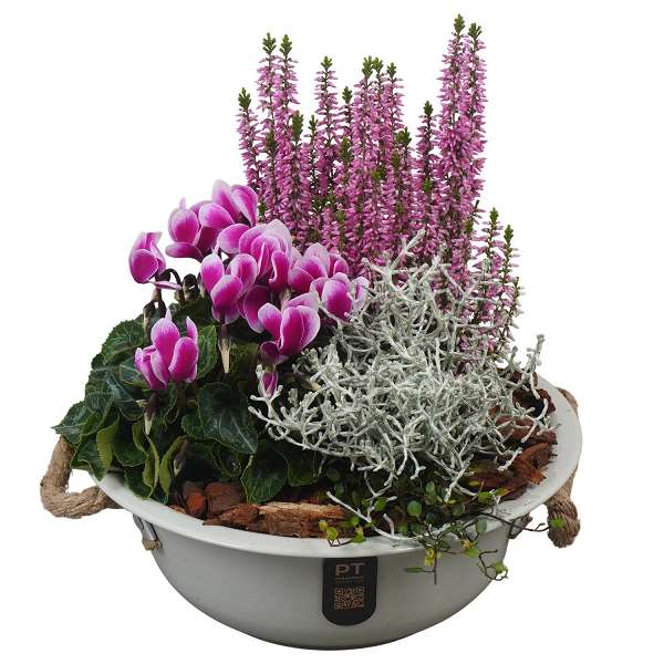 Picture of Autumn arrangement 03pp in zinc - outdoor