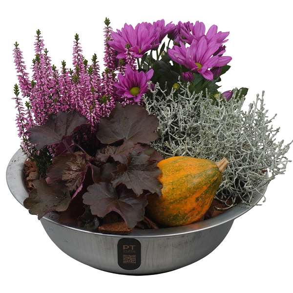 Picture of Autumn arrangement 04pp in zinc - outdoor