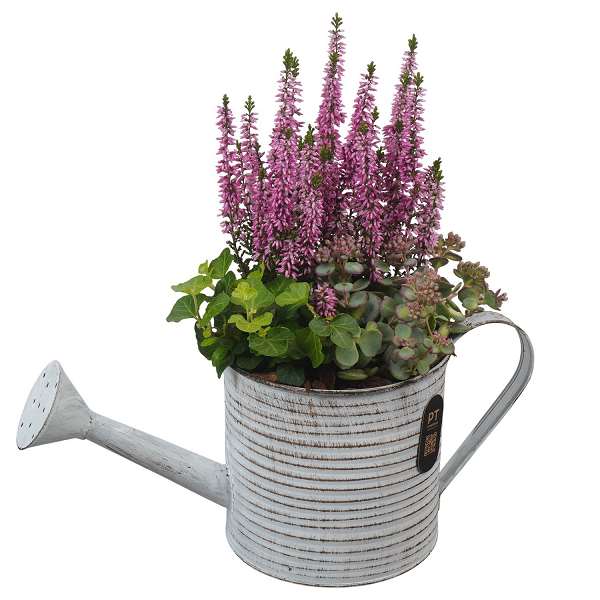 Picture of Autumn arrangement 03pp in zinc - outdoor