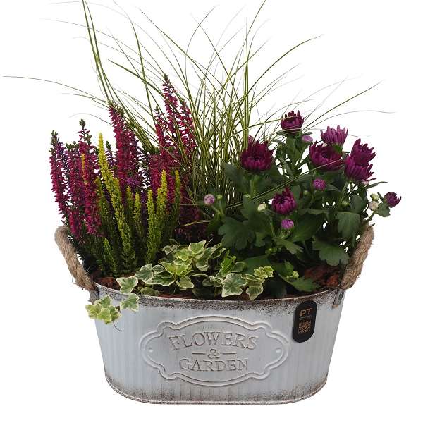 Picture of Autumn arrangement 04pp in zinc - outdoor
