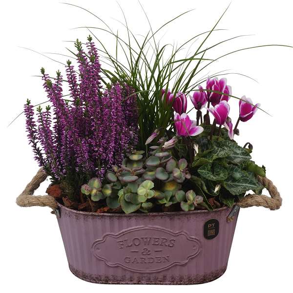 Picture of Autumn arrangement 05pp in zinc - outdoor