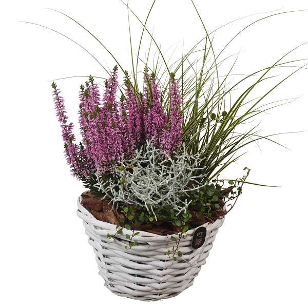 Picture of Autumn arrangement 04pp in basket - outdoor