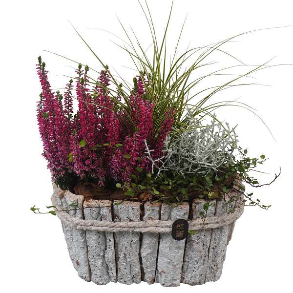 Picture of Autumn arrangement 03pp in wood - outdoor