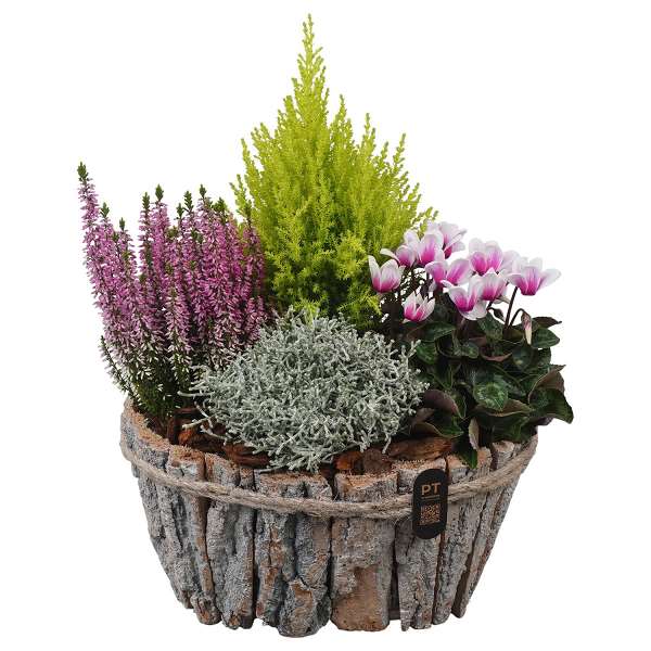 Picture of Autumn arrangement 04pp in wood - outdoor