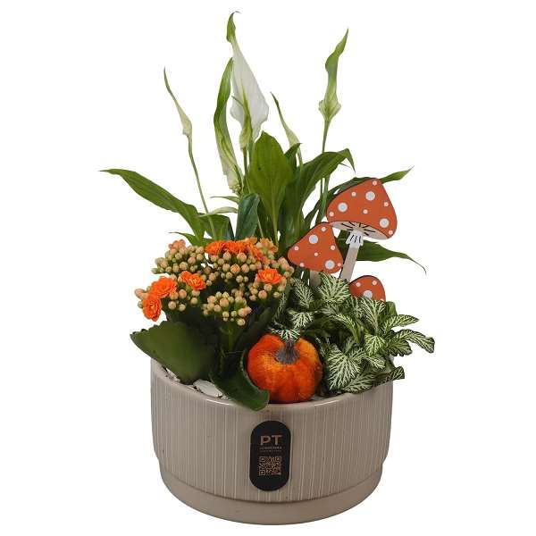 Picture of Autumn arrangement 03pp in ceramic - indoor