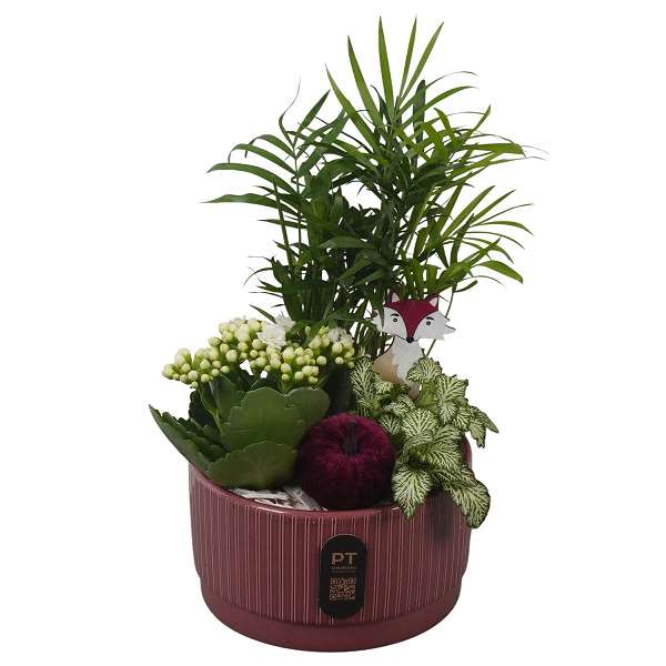 Picture of Autumn arrangement 03pp in ceramic - indoor