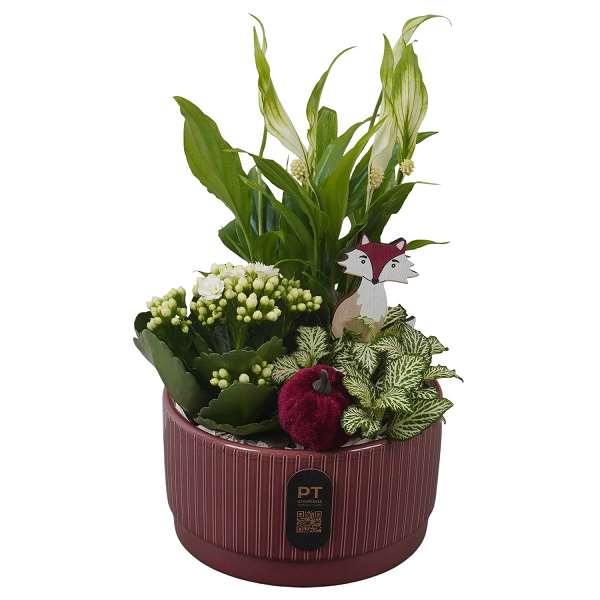 Picture of Autumn arrangement 03pp in ceramic - indoor