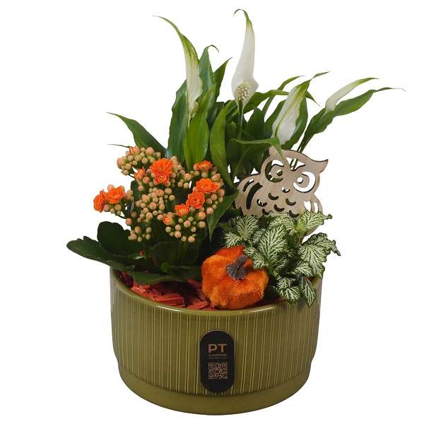 Picture of Autumn arrangement 03pp in ceramic - indoor