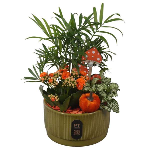 Picture of Autumn arrangement 03pp in ceramic - indoor