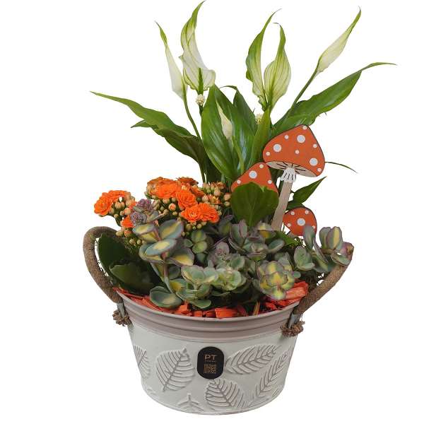 Picture of Autumn arrangement 03pp in zinc - indoor
