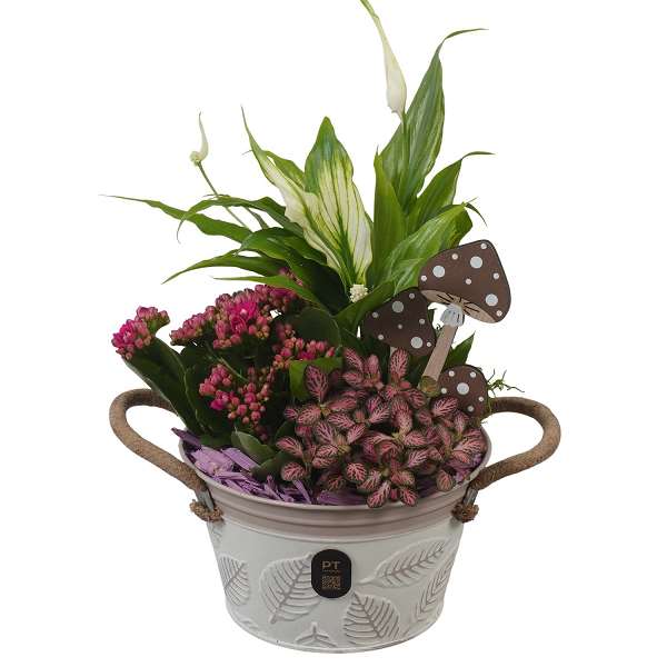 Picture of Autumn arrangement 03pp in zinc - indoor