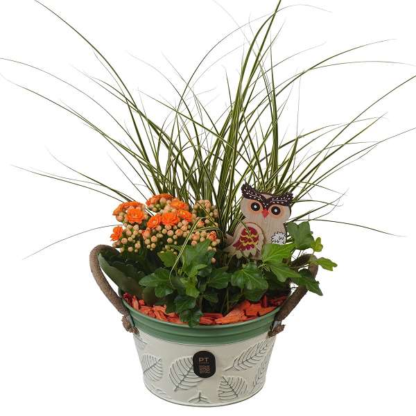 Picture of Autumn arrangement 03pp in zinc - indoor