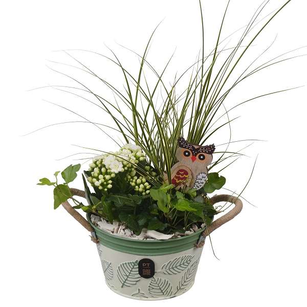 Picture of Autumn arrangement 03pp in zinc - indoor