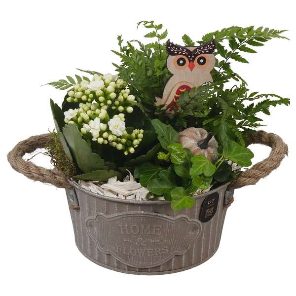 Picture of Autumn arrangement 03pp in zinc - indoor