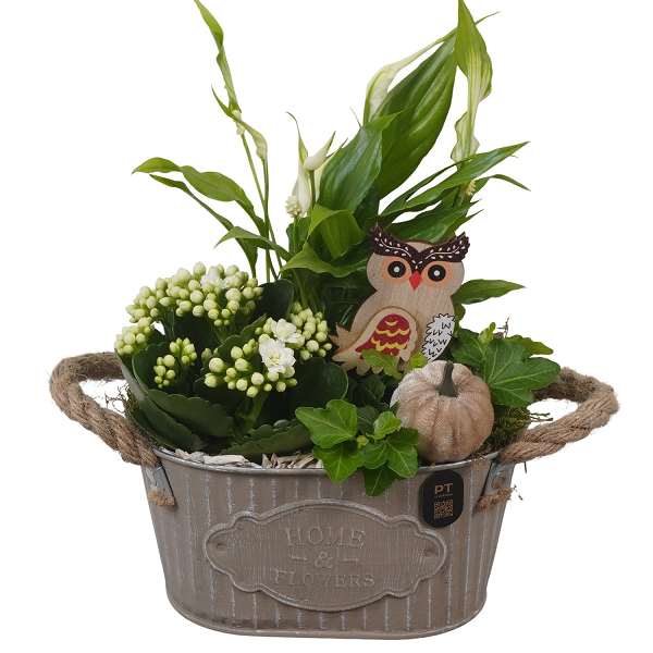 Picture of Autumn arrangement 03pp in zinc - indoor