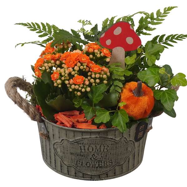 Picture of Autumn arrangement 03pp in zinc - indoor