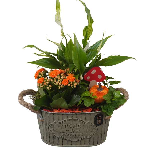 Picture of Autumn arrangement 03pp in zinc - indoor