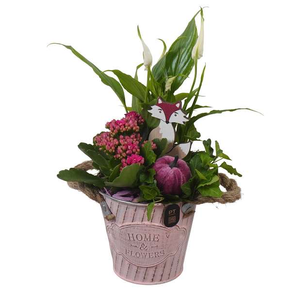 Picture of Autumn arrangement 03pp in zinc - indoor