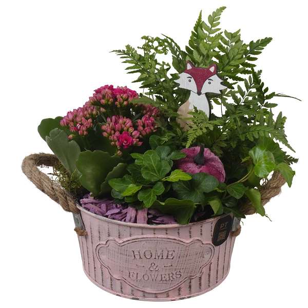 Picture of Autumn arrangement 03pp in zinc - indoor