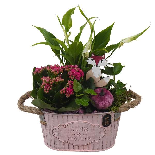 Picture of Autumn arrangement 03pp in zinc - indoor