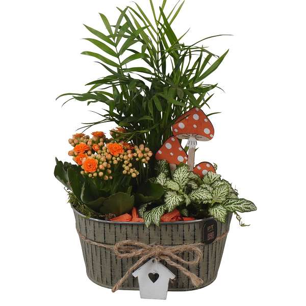 Picture of Autumn arrangement 03pp in zinc - indoor