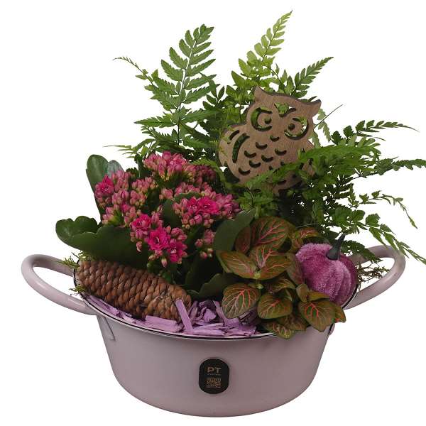Picture of Autumn arrangement 03pp in zinc - indoor