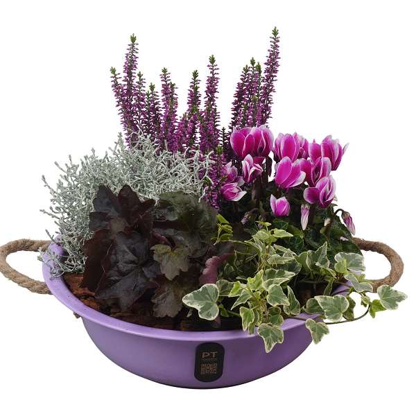 Picture of Autumn arrangement 05pp in zinc - outdoor