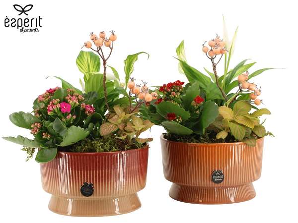 Picture of Autumn arrangement 03pp in ceramic - indoor