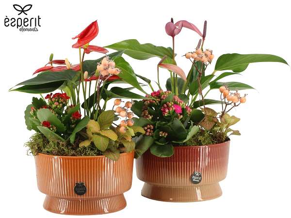 Picture of Autumn arrangement 04pp in ceramic - indoor