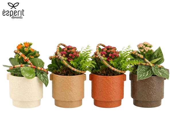 Picture of Autumn arrangement 02pp in ceramic - indoor