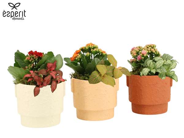 Picture of Autumn arrangement 02pp in ceramic - indoor