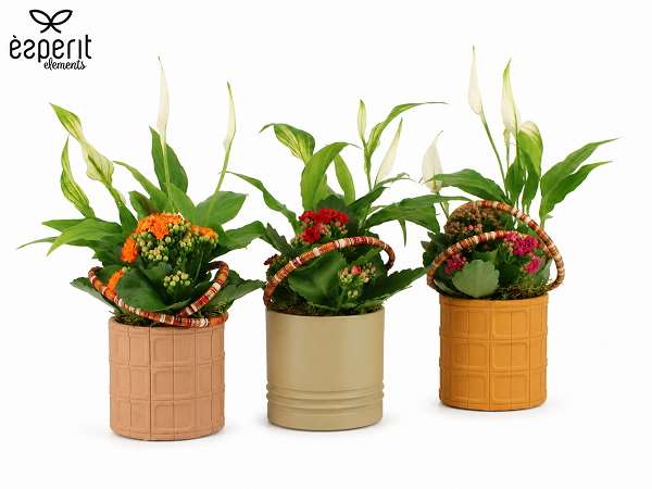 Picture of Autumn arrangement 02pp in ceramic - indoor