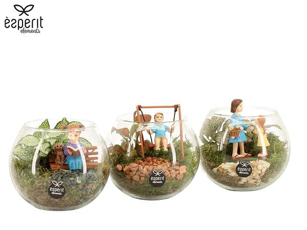 Picture of Terrarium little green moments