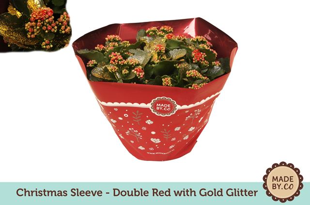 Picture of KALANCHOE ROSALINA RED + GLITTER