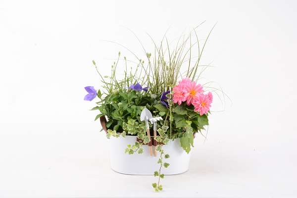 Picture of Outdoor arrangement 05pp in zinc