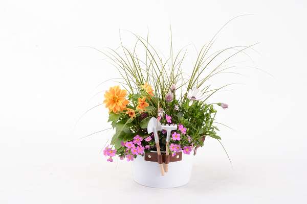 Picture of Outdoor arrangement 04pp in zinc