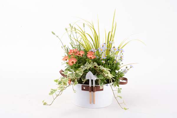 Picture of Outdoor arrangement 05pp in zinc